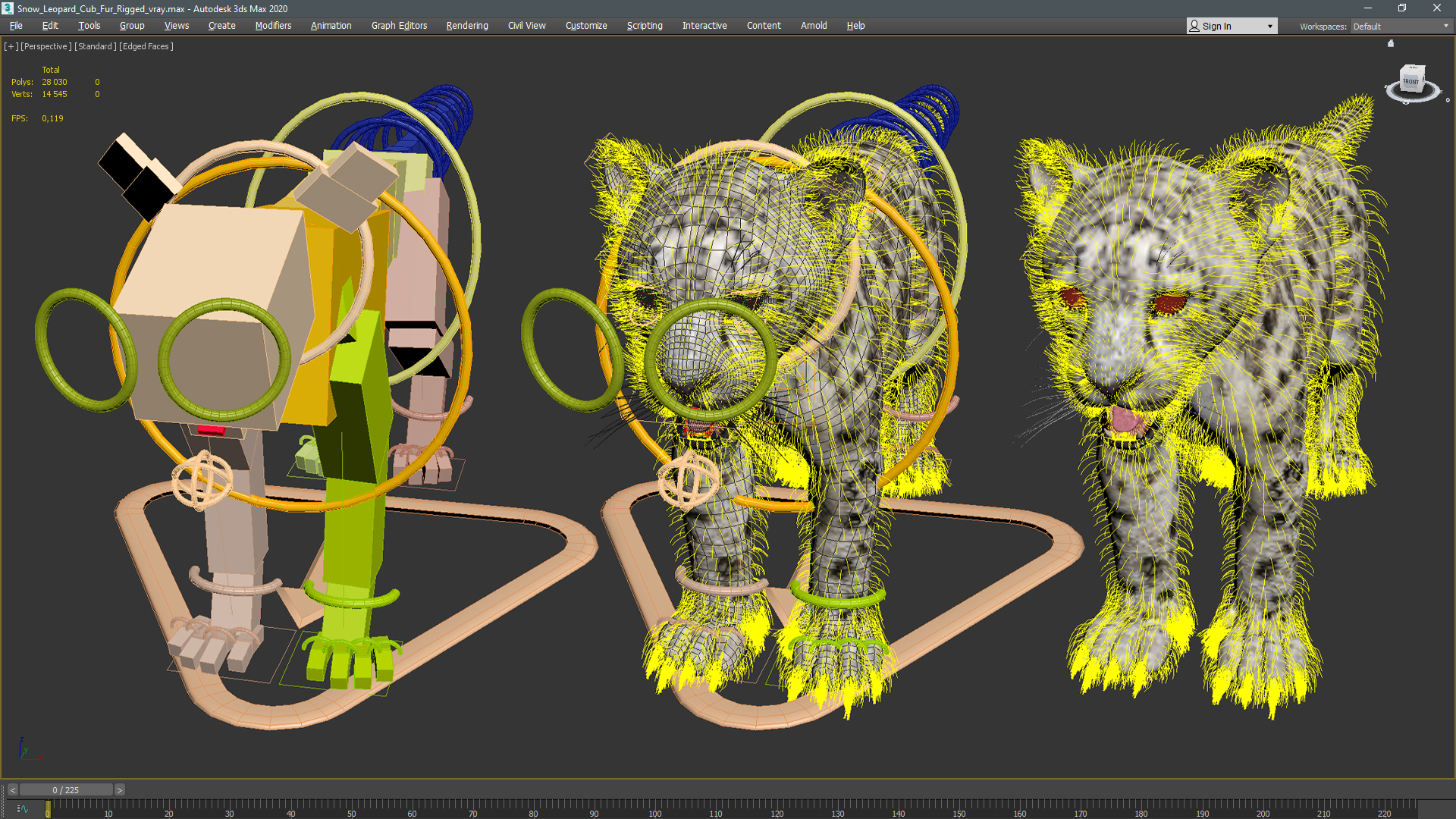 Snow Leopard Cub Fur Rigged 3D