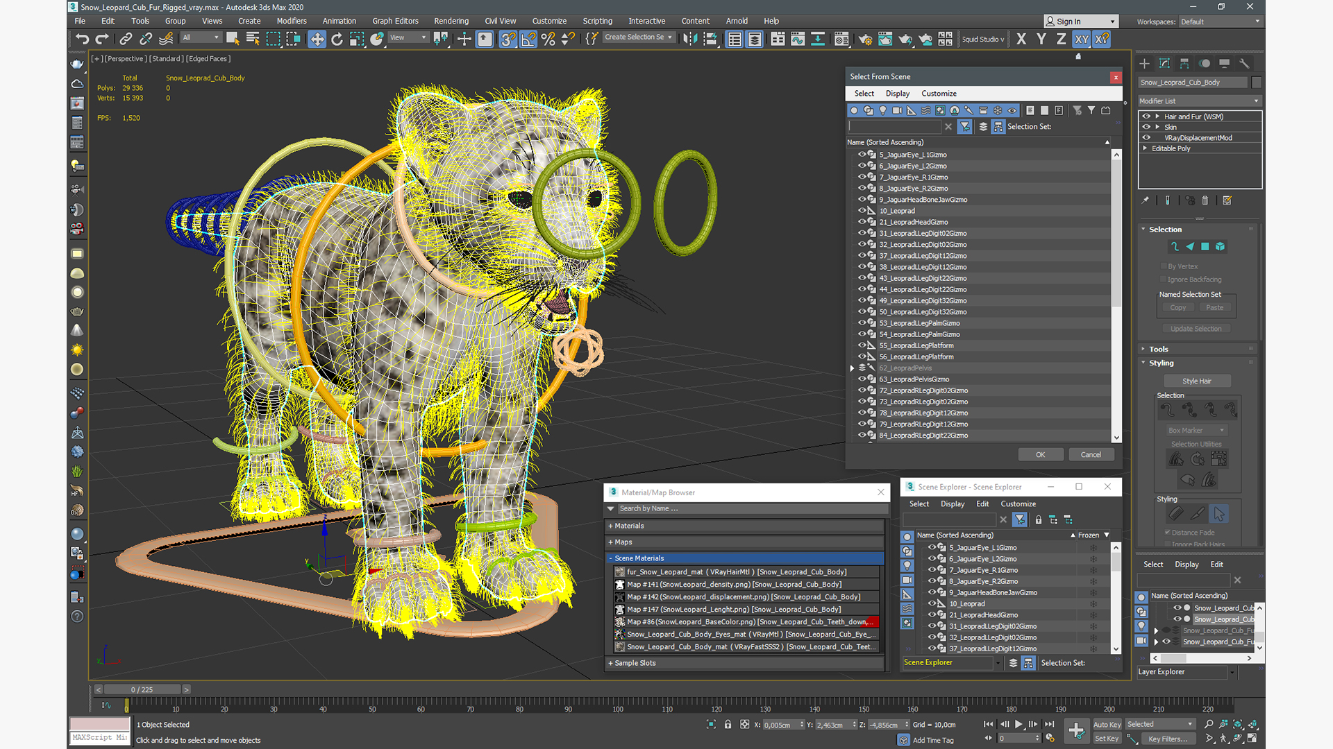 Snow Leopard Cub Fur Rigged 3D