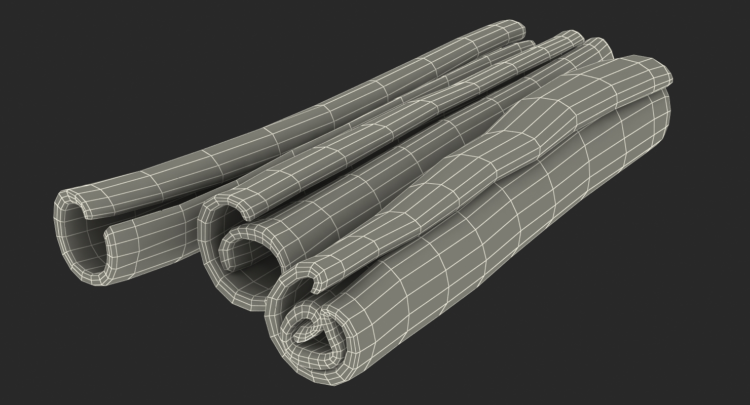 3D model Cinnamon Sticks