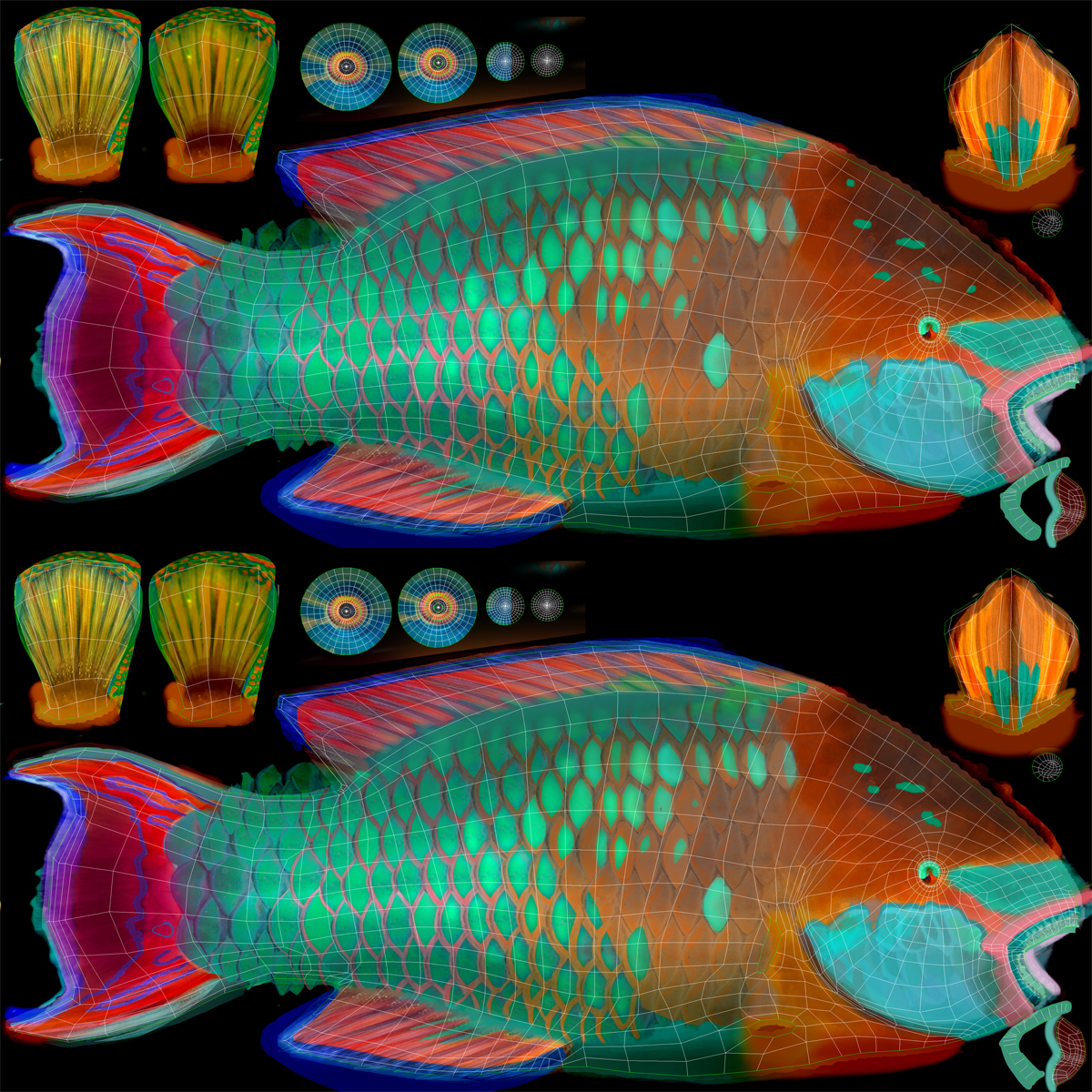 Tropical Parrotfish 3D model