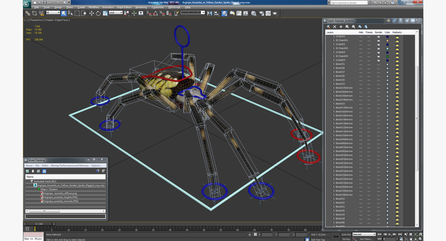 Argiope Aurantia or Yellow Garden Spider Rigged 3D