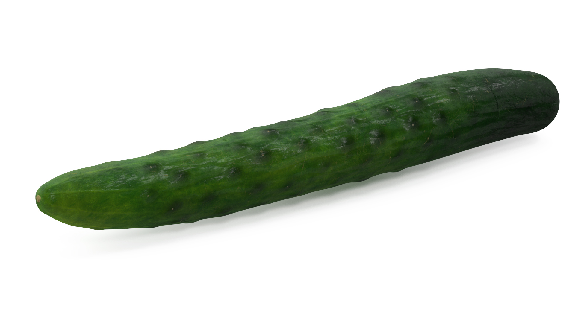 3D Long Cucumber model