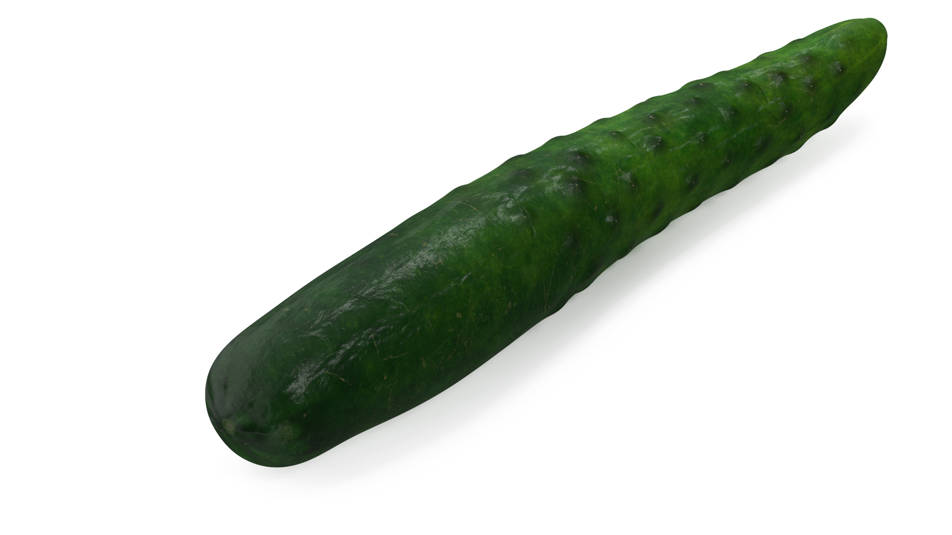 3D Long Cucumber model