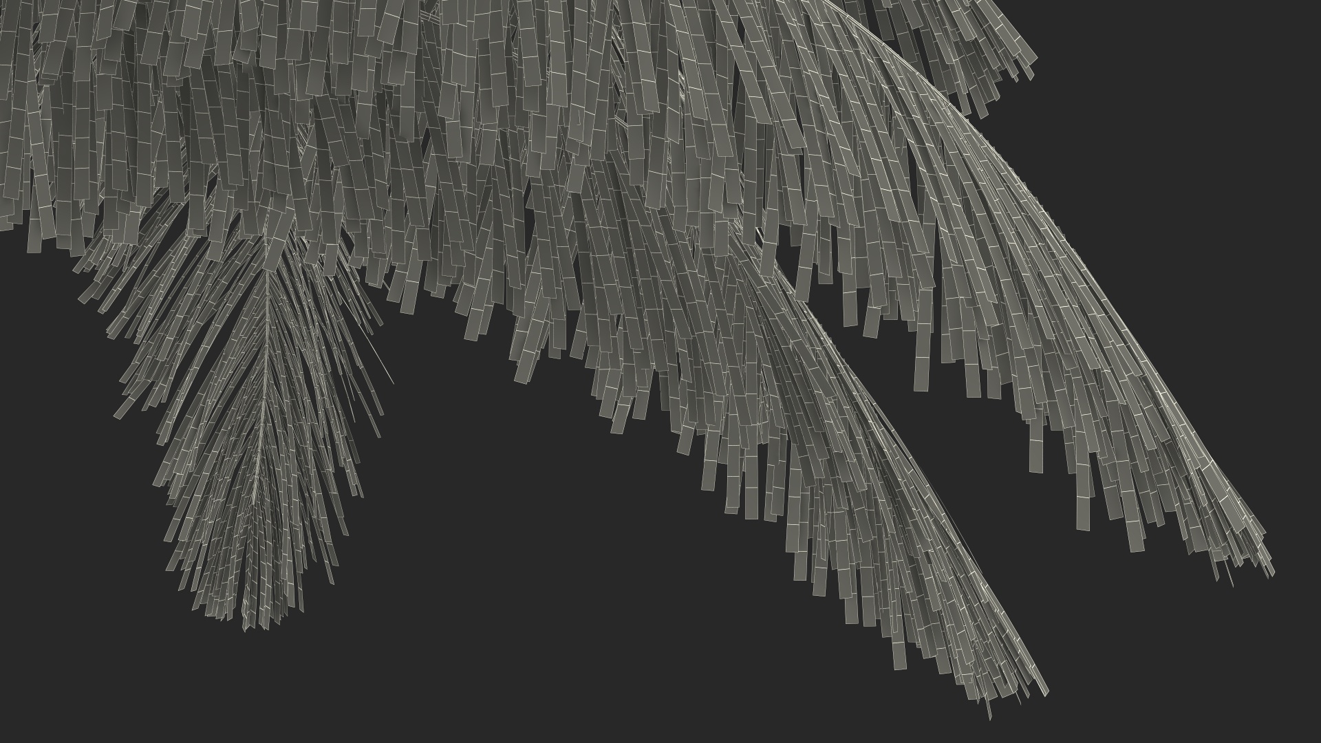 Palm Tree 3D model