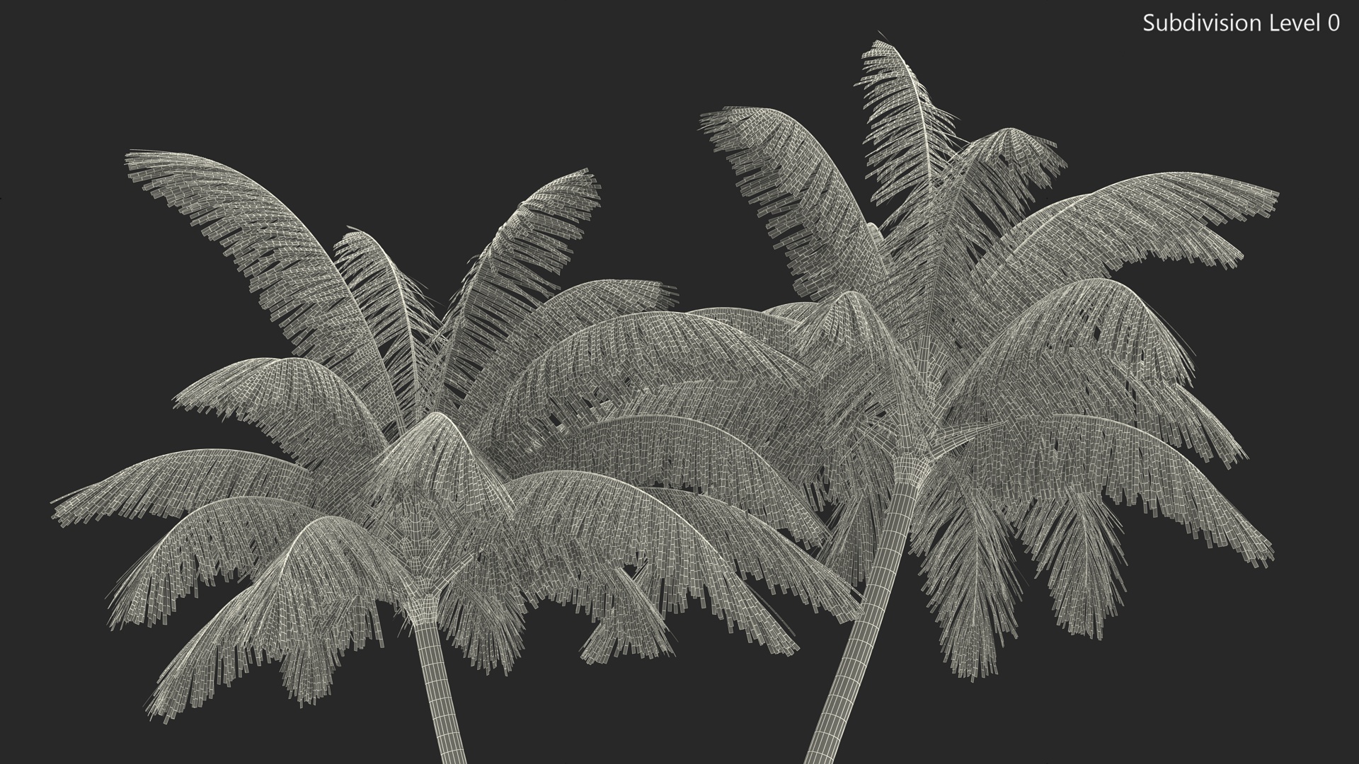 Palm Tree 3D model