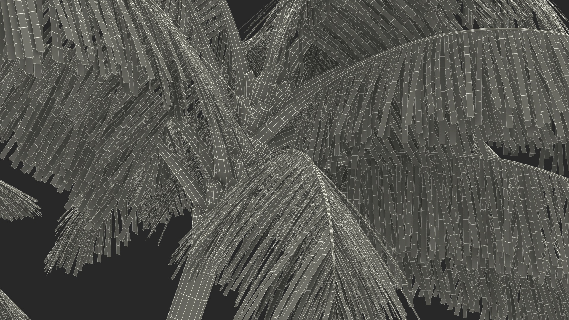 Palm Tree 3D model