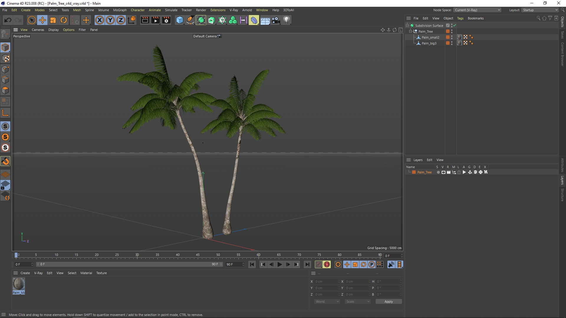 Palm Tree 3D model