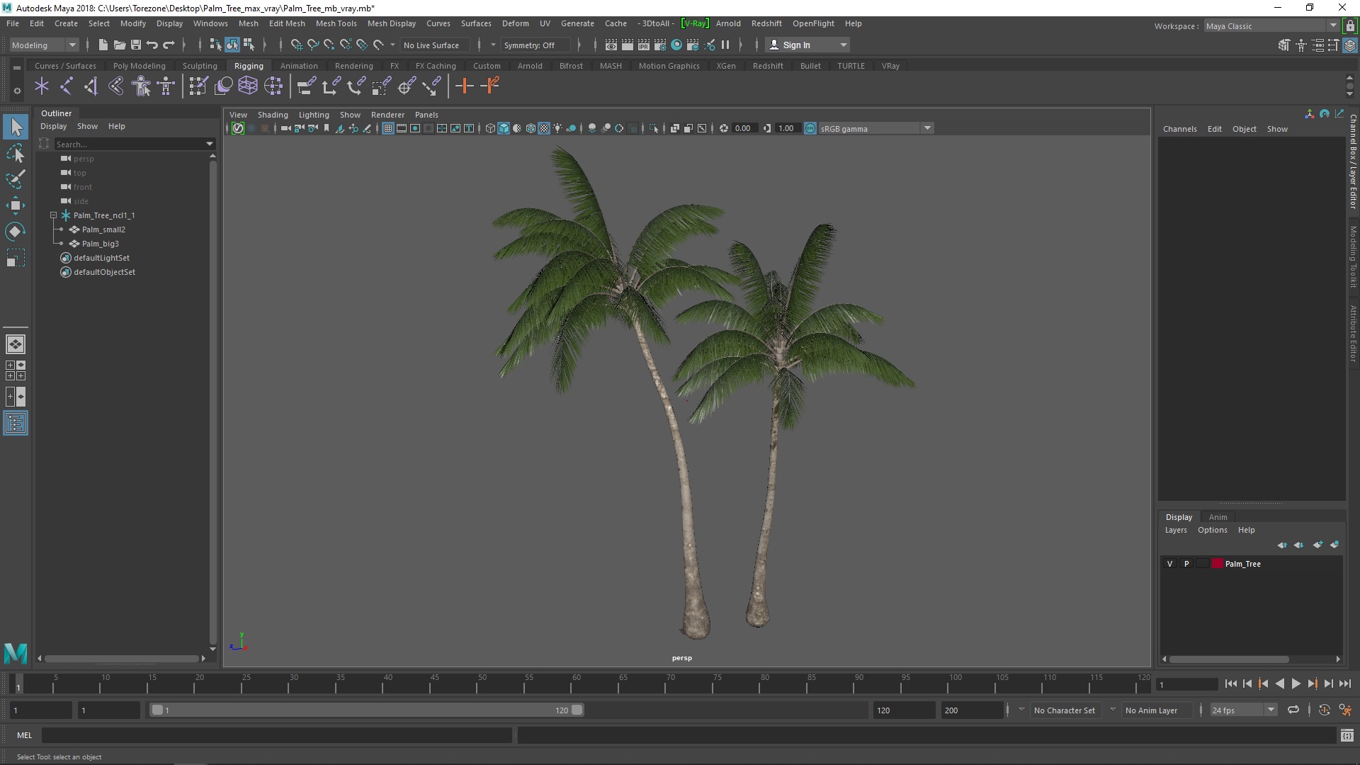 Palm Tree 3D model