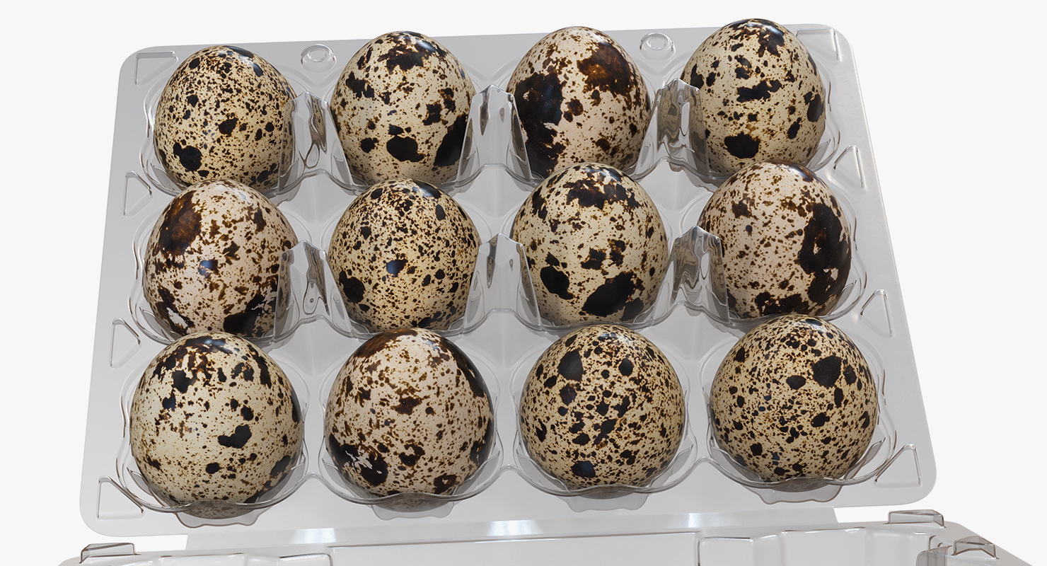 Quail Eggs in Open Box 3D