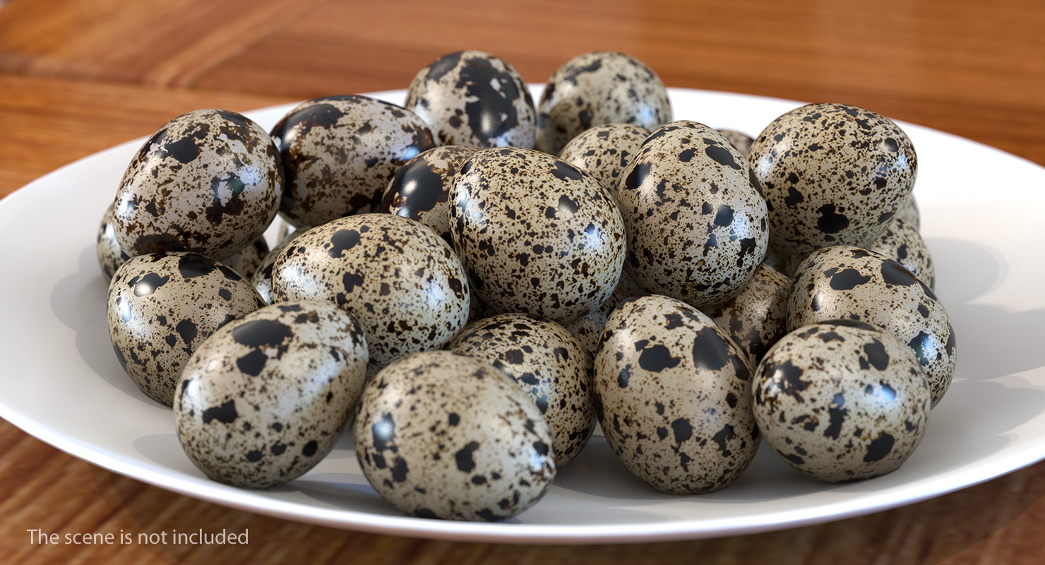 Quail Eggs in Open Box 3D