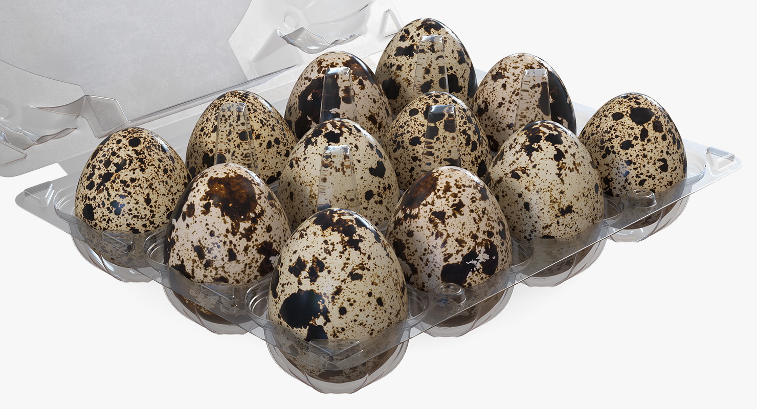 Quail Eggs in Open Box 3D