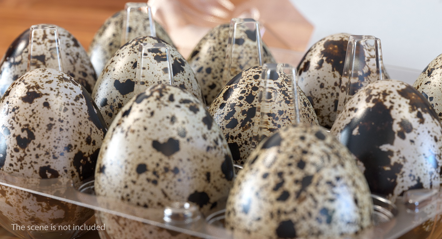 Quail Eggs in Open Box 3D