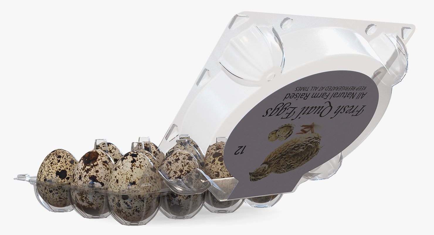 Quail Eggs in Open Box 3D