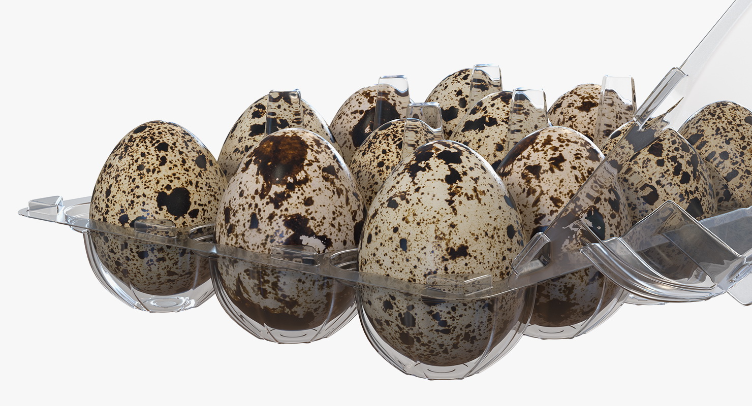 Quail Eggs in Open Box 3D