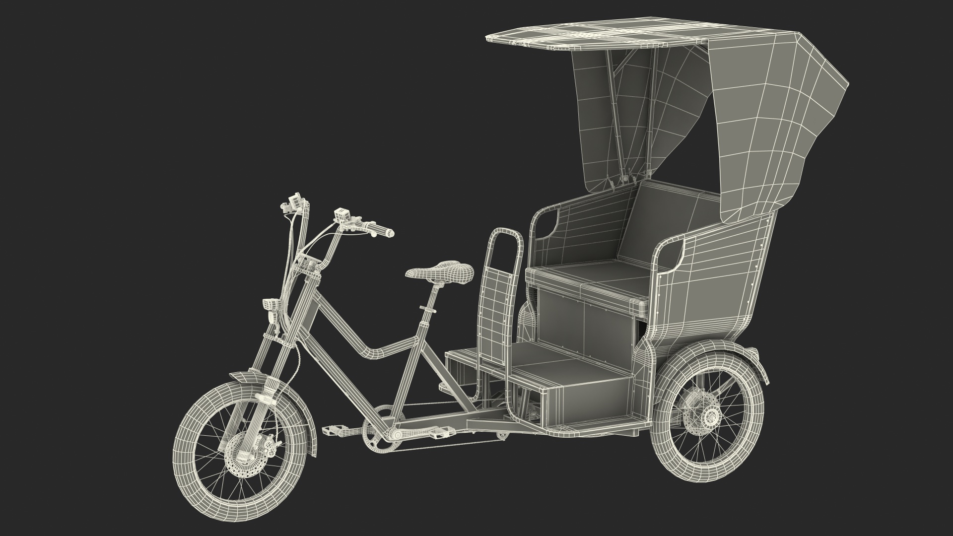 3D Commercial Grade Electric Trike with Passenger Seat