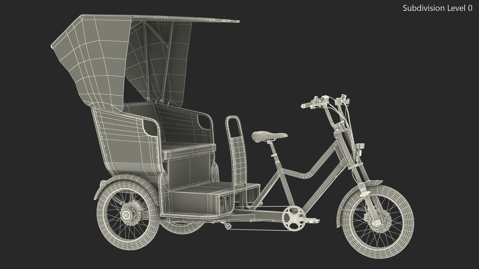 3D Commercial Grade Electric Trike with Passenger Seat