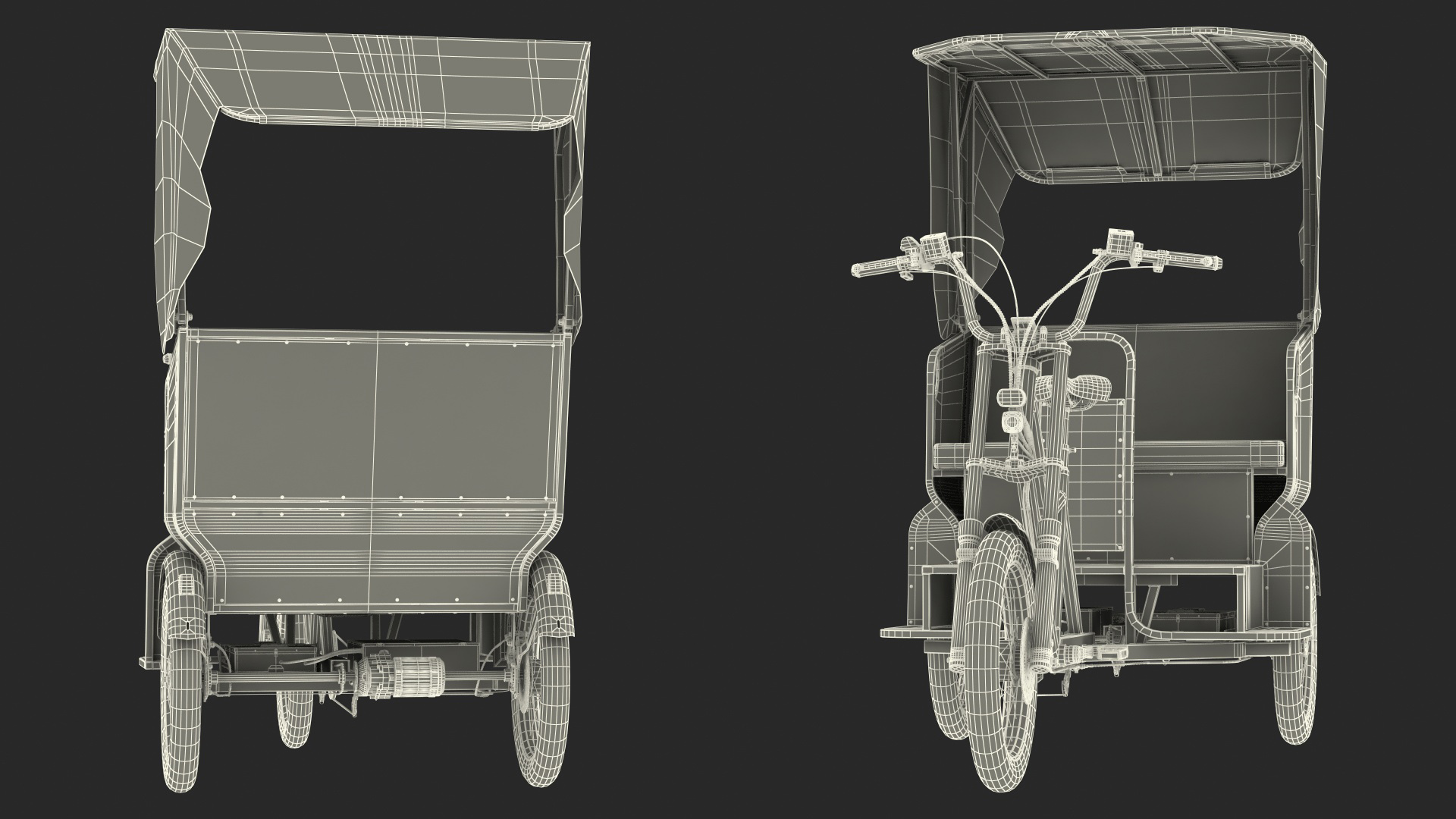 3D Commercial Grade Electric Trike with Passenger Seat