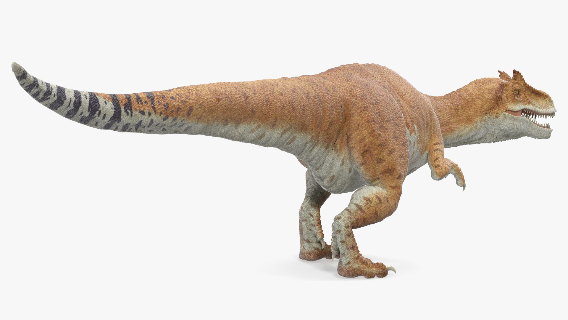 Allosaurus on the Hunt 3D