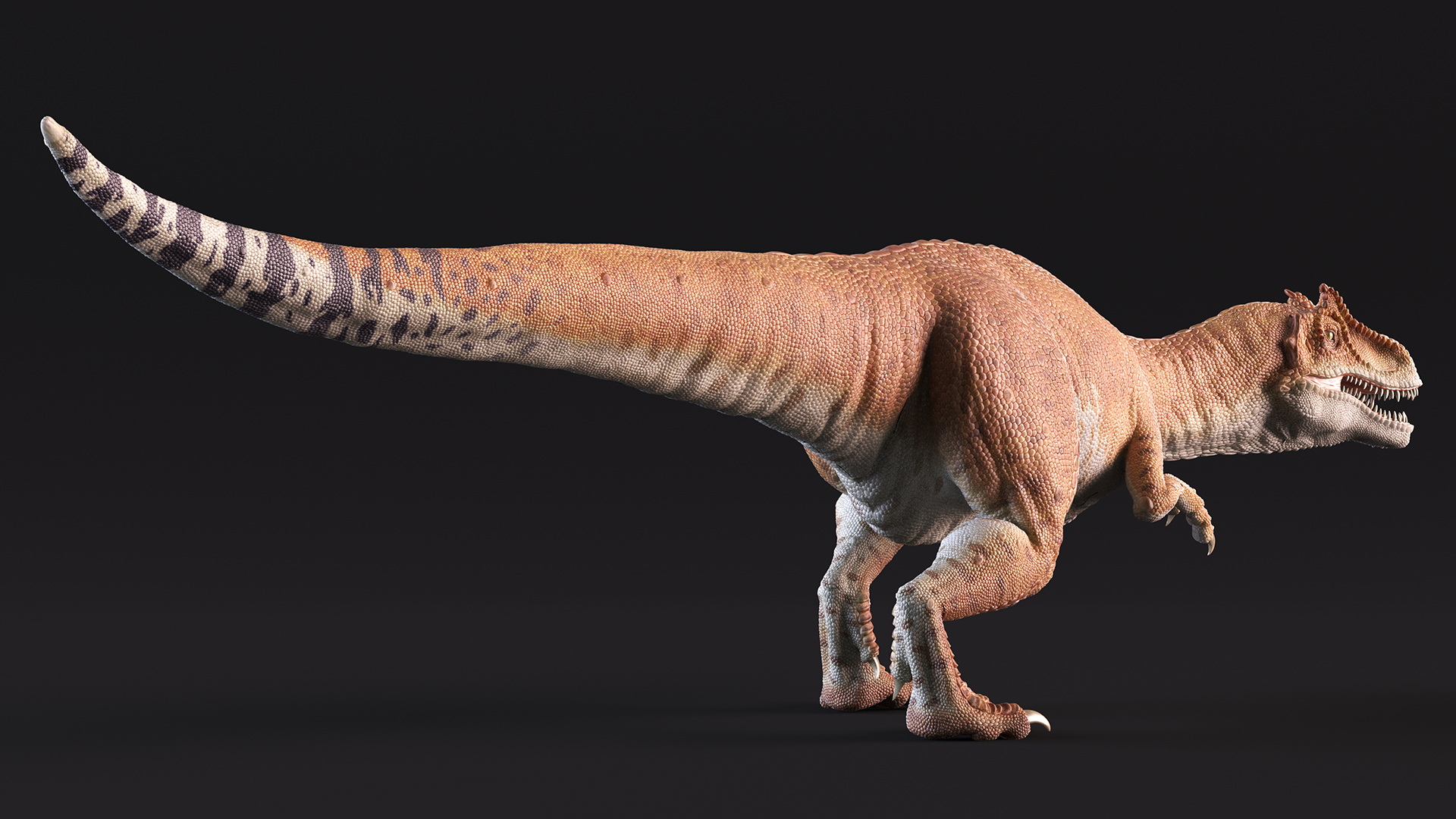 Allosaurus on the Hunt 3D