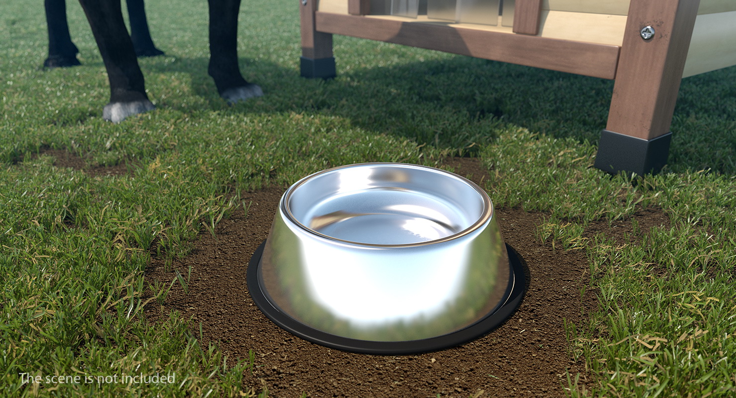 3D Empty Stainless Steel Bowl