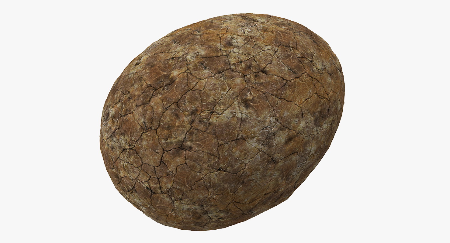 3D Dinosaur Egg Ancient Stone