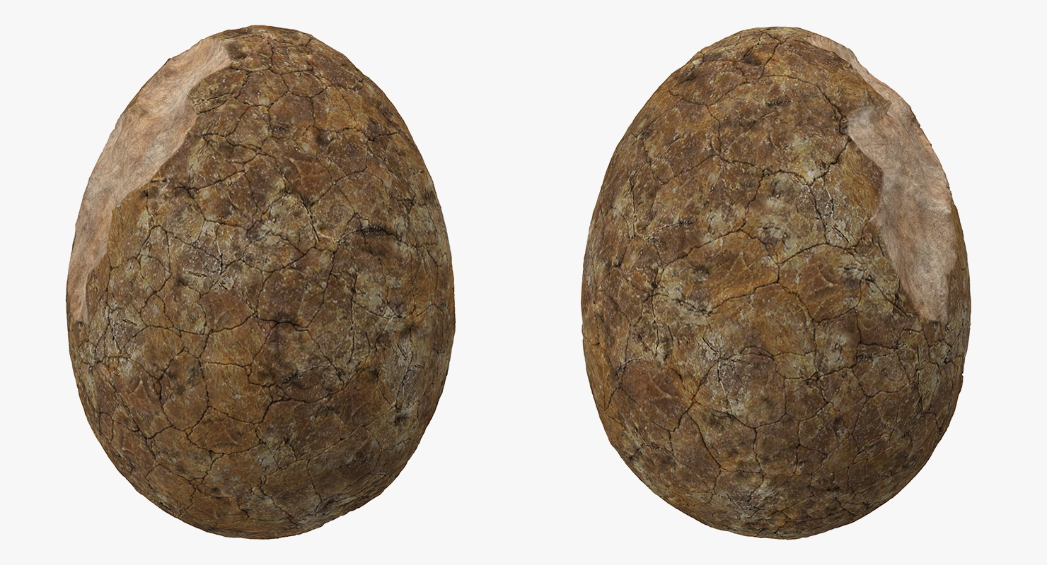 3D Dinosaur Egg Ancient Stone