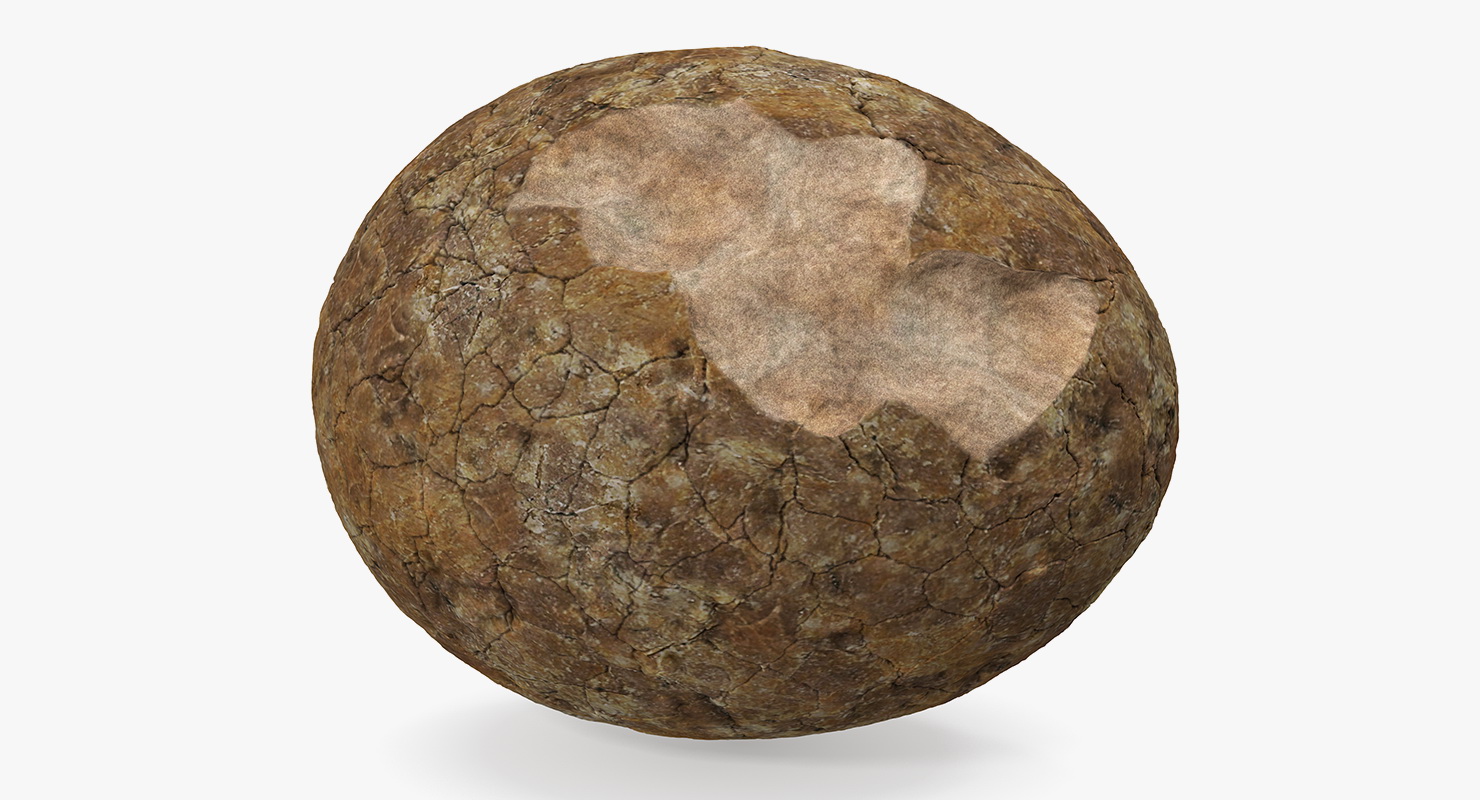 3D Dinosaur Egg Ancient Stone