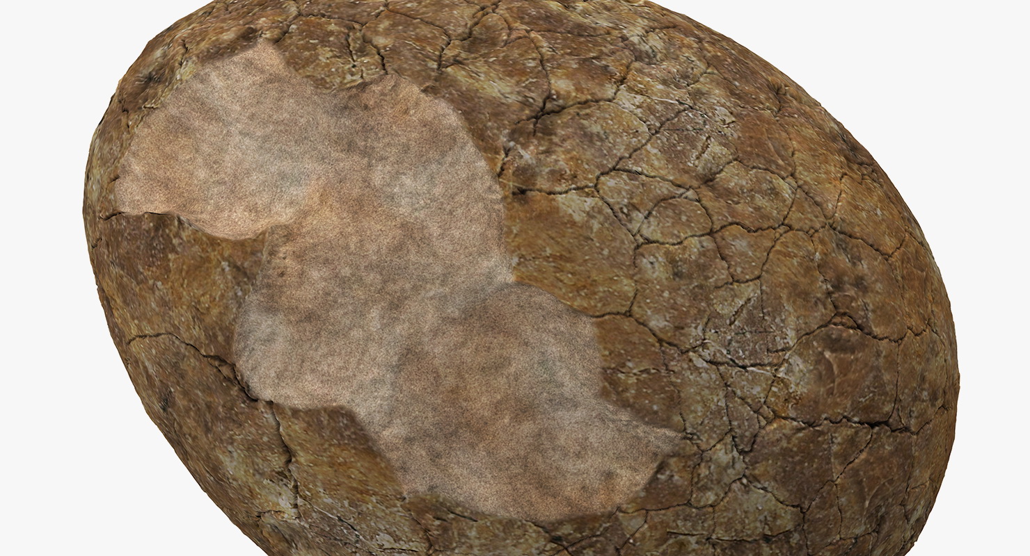 3D Dinosaur Egg Ancient Stone