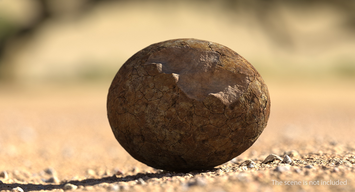 3D Dinosaur Egg Ancient Stone