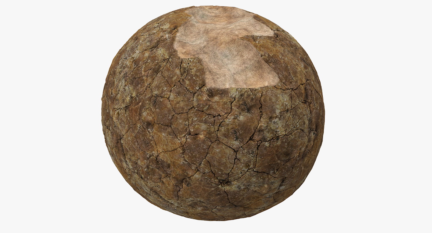 3D Dinosaur Egg Ancient Stone