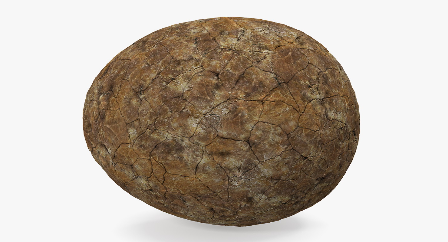 3D Dinosaur Egg Ancient Stone