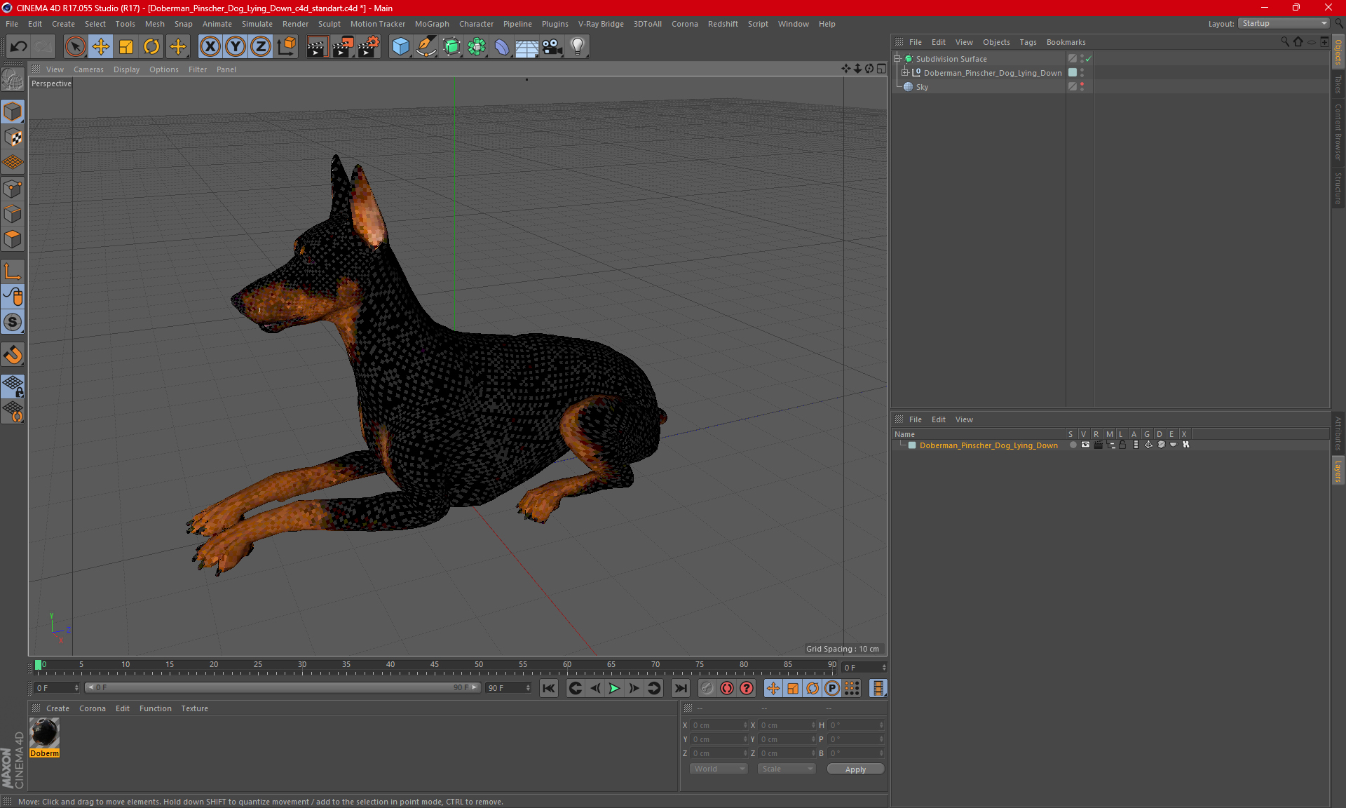 Doberman Pinscher Dog Lying Down 3D