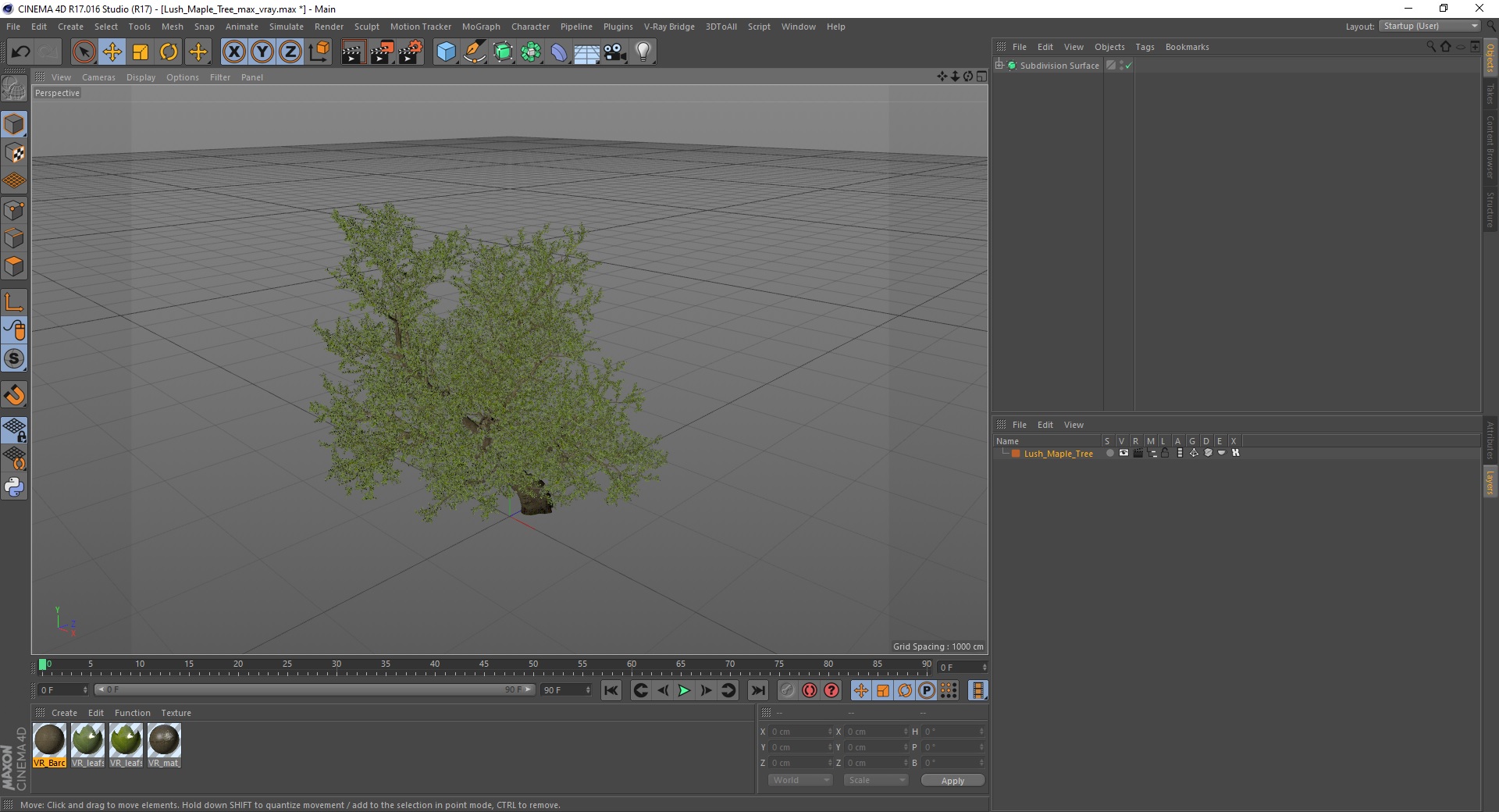 3D model Lush Maple Tree