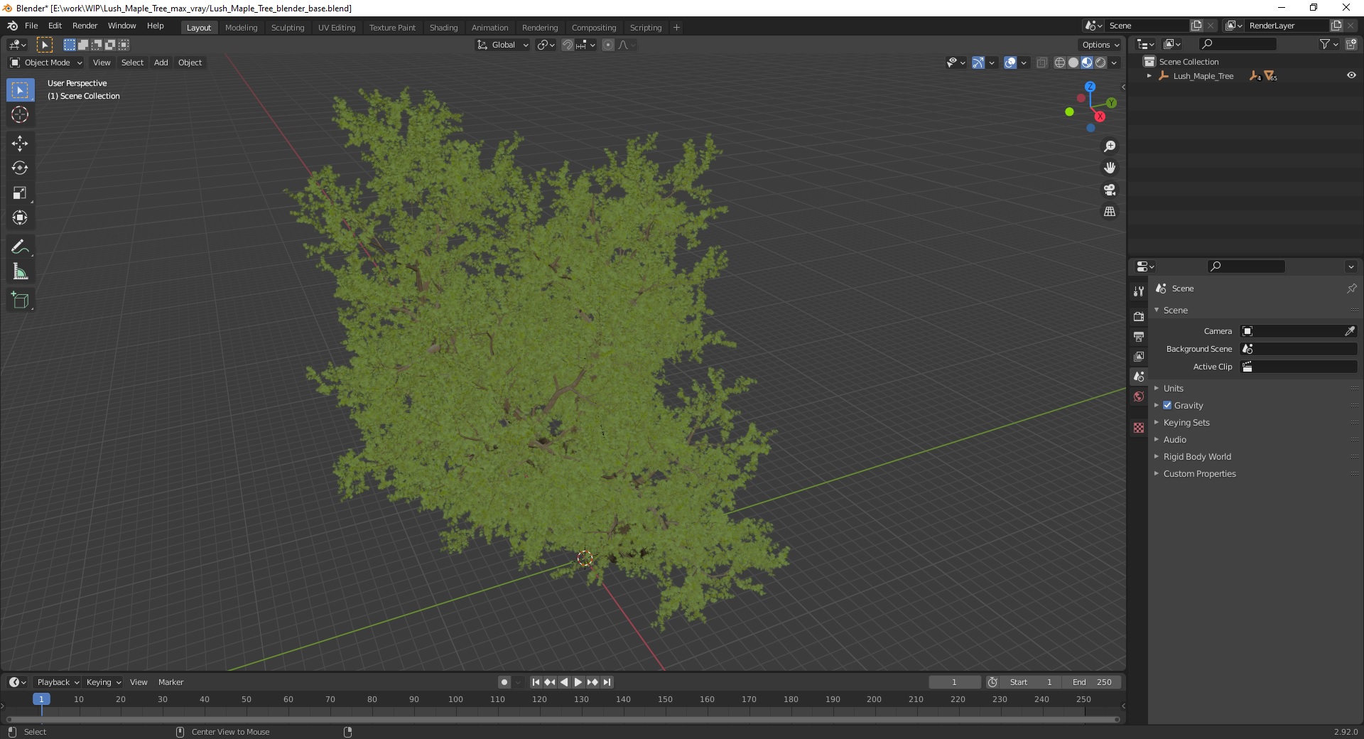 3D model Lush Maple Tree