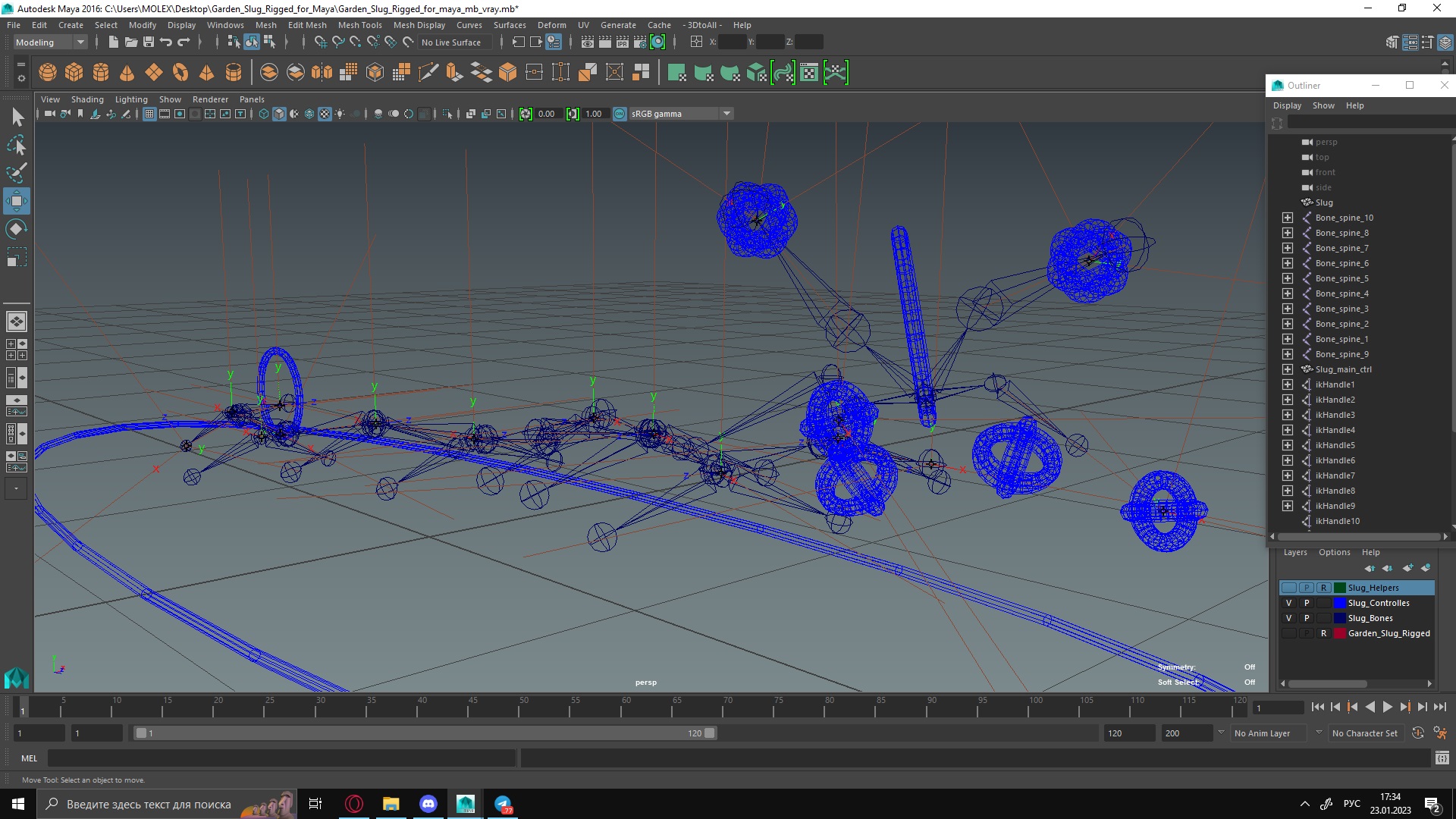 Garden Slug Rigged for Maya 3D