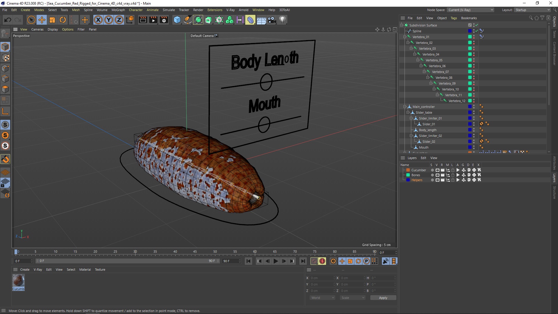 Sea Cucumber Red Rigged for Cinema 4D 3D