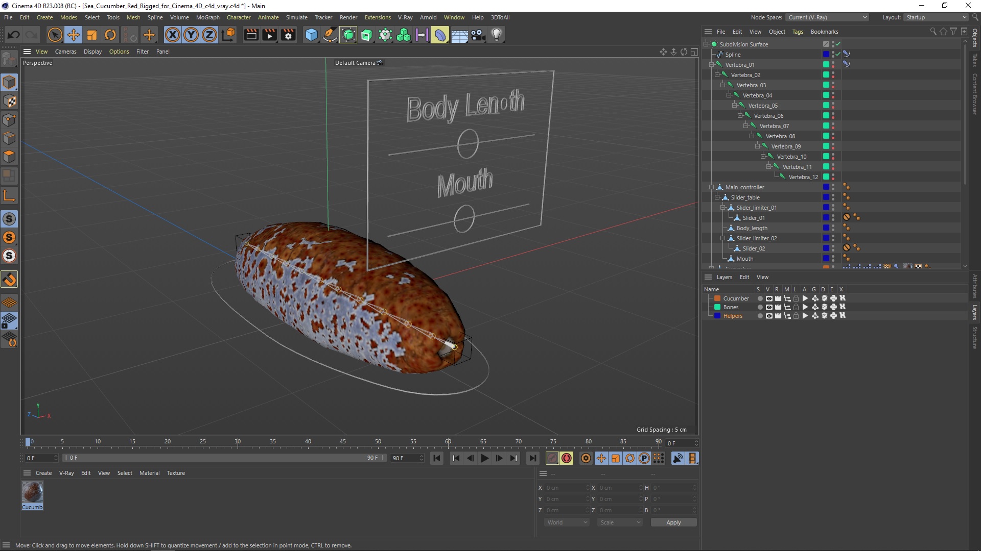 Sea Cucumber Red Rigged for Cinema 4D 3D