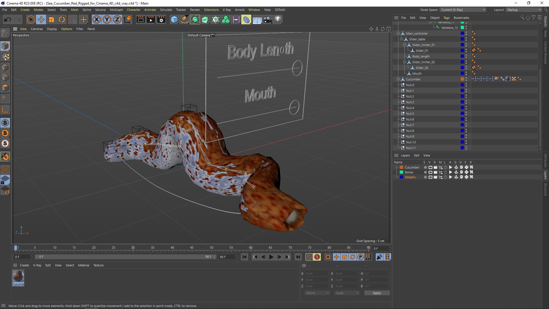 Sea Cucumber Red Rigged for Cinema 4D 3D