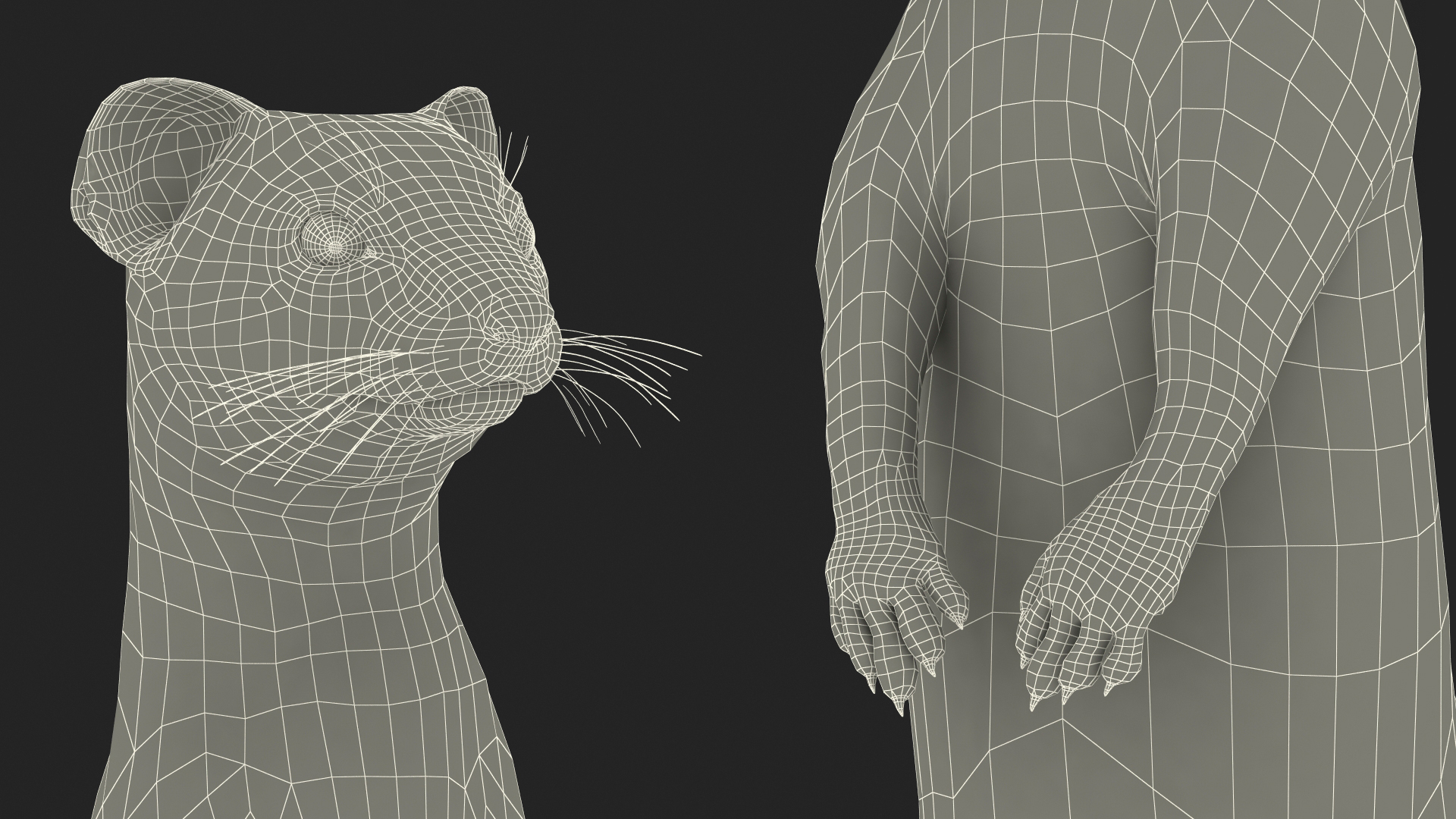 3D model Vormela Peregusna Stands on His Hind Legs Fur