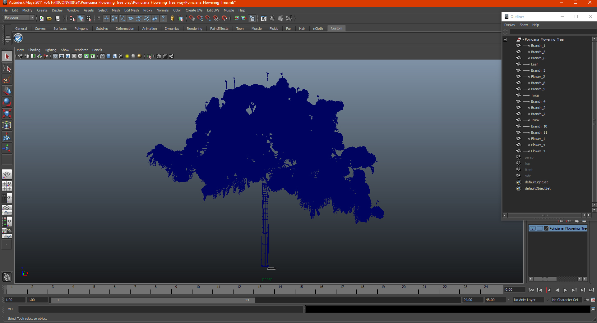 Poinciana Flowering Tree 3D model