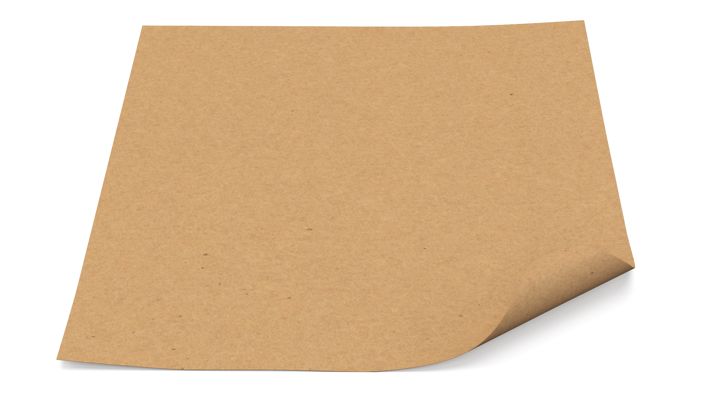 3D Kraft Paper With Corner Curl model