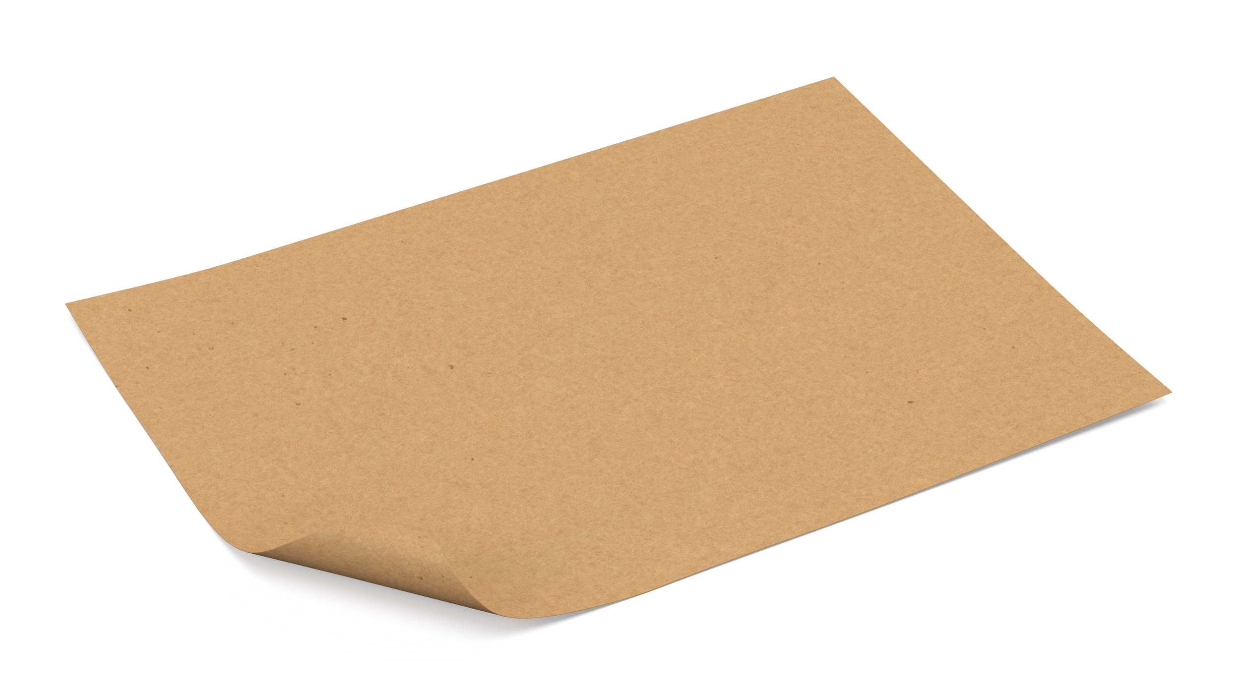 3D Kraft Paper With Corner Curl model