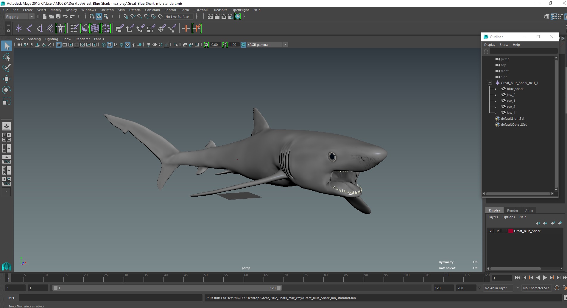 3D Great Blue Shark