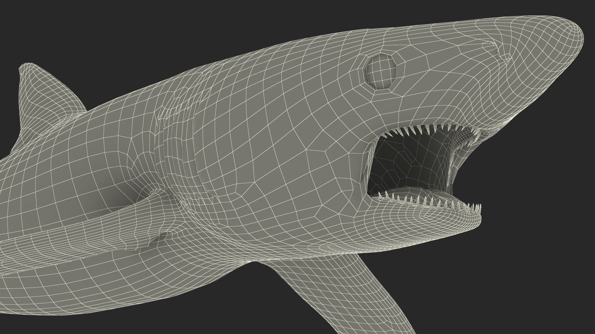 3D Great Blue Shark