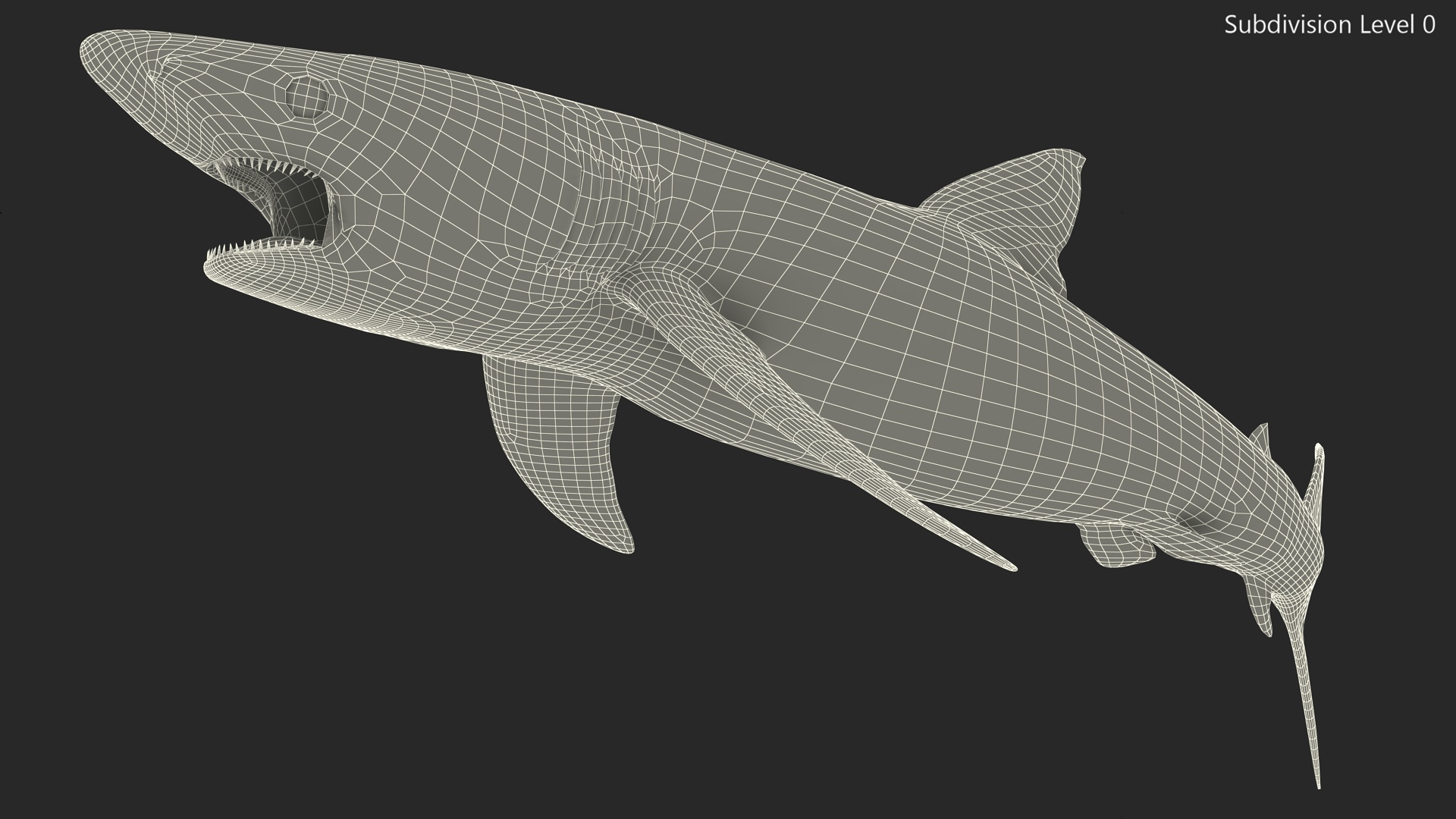 3D Great Blue Shark