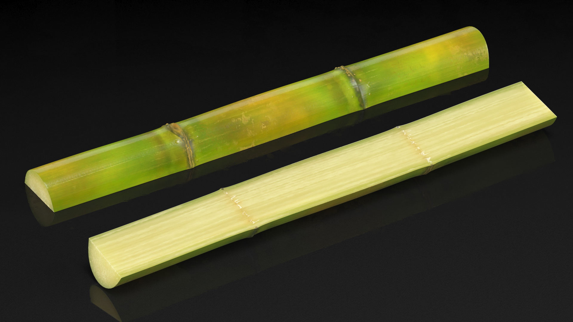 3D model Fresh Sugarcane Half Cut Piece