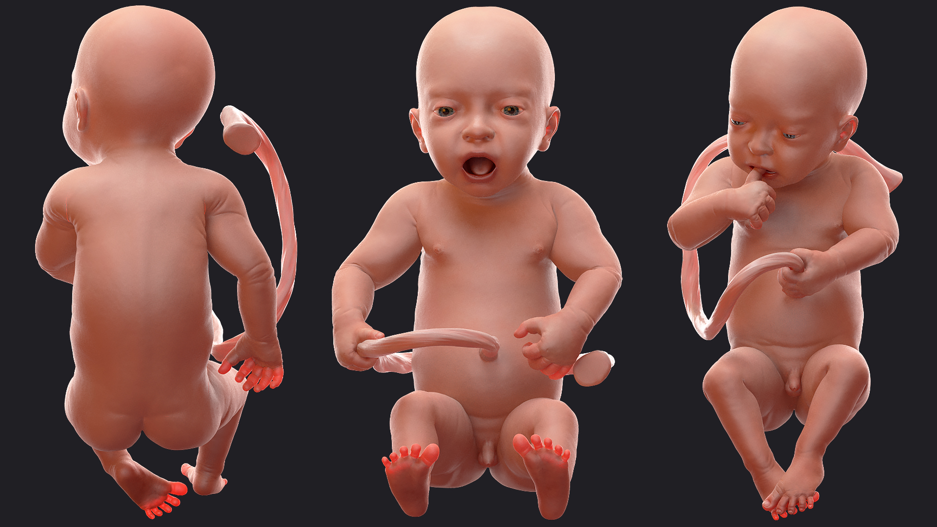 Baby Boy at 32 Weeks Rigged 3D