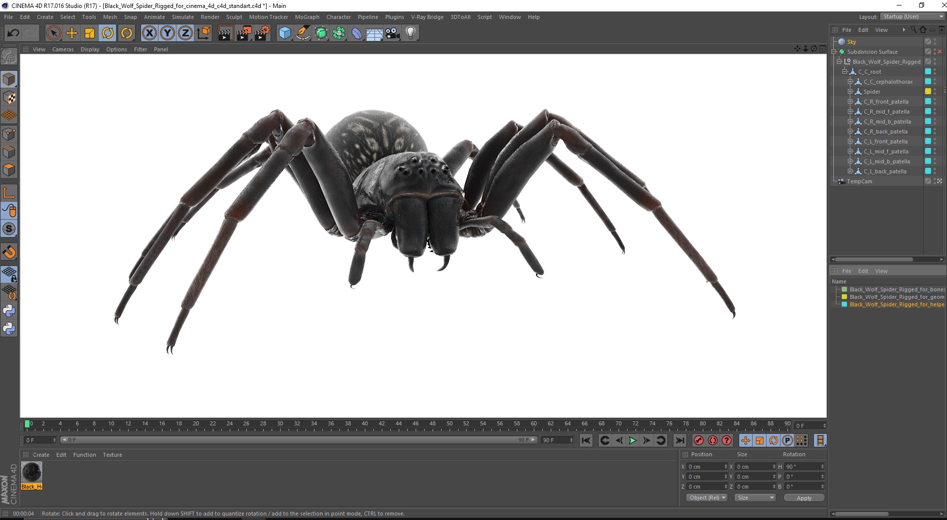 3D Black Wolf Spider Rigged for Cinema 4D model