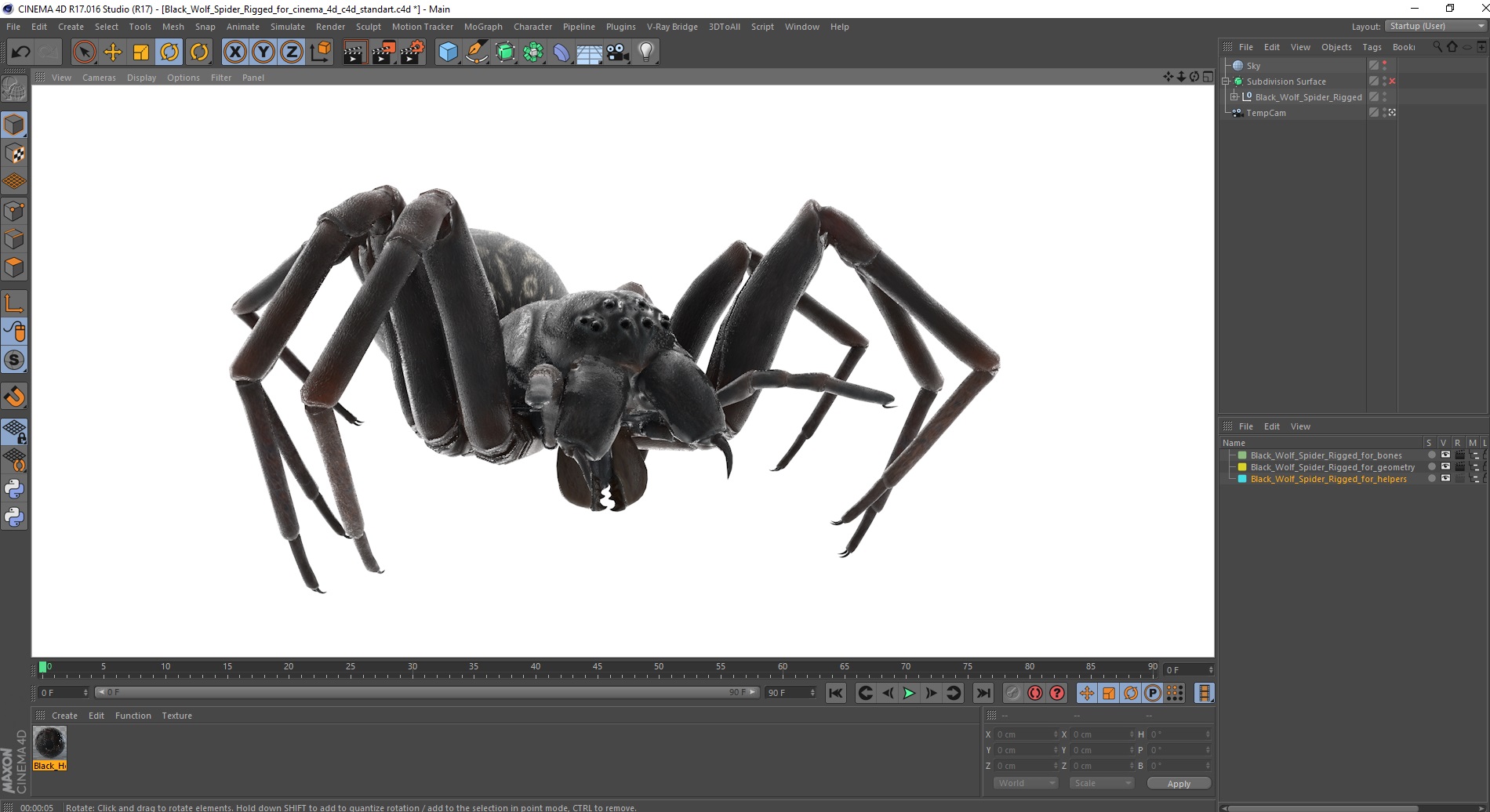 3D Black Wolf Spider Rigged for Cinema 4D model