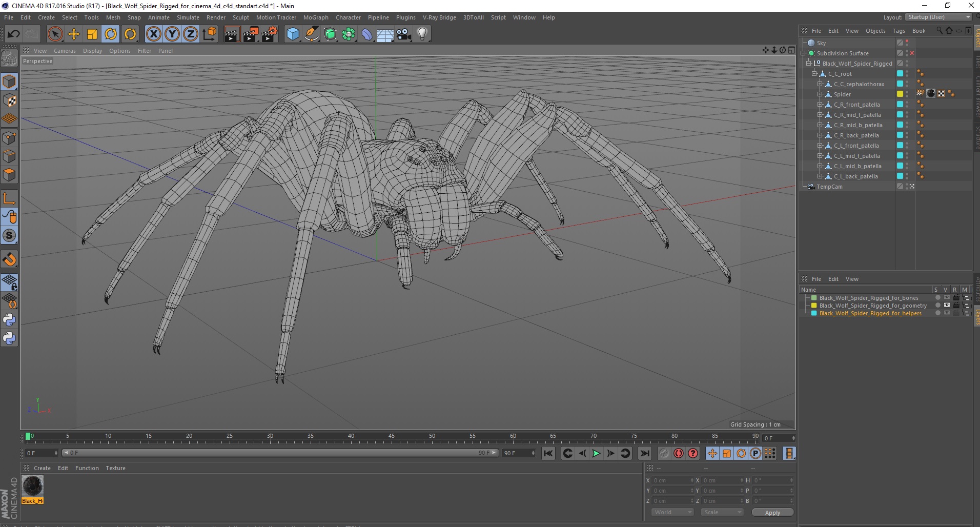 3D Black Wolf Spider Rigged for Cinema 4D model